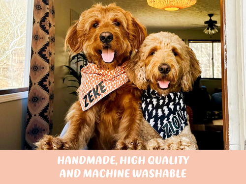 "Gingham Peaches" Dog Bandana
