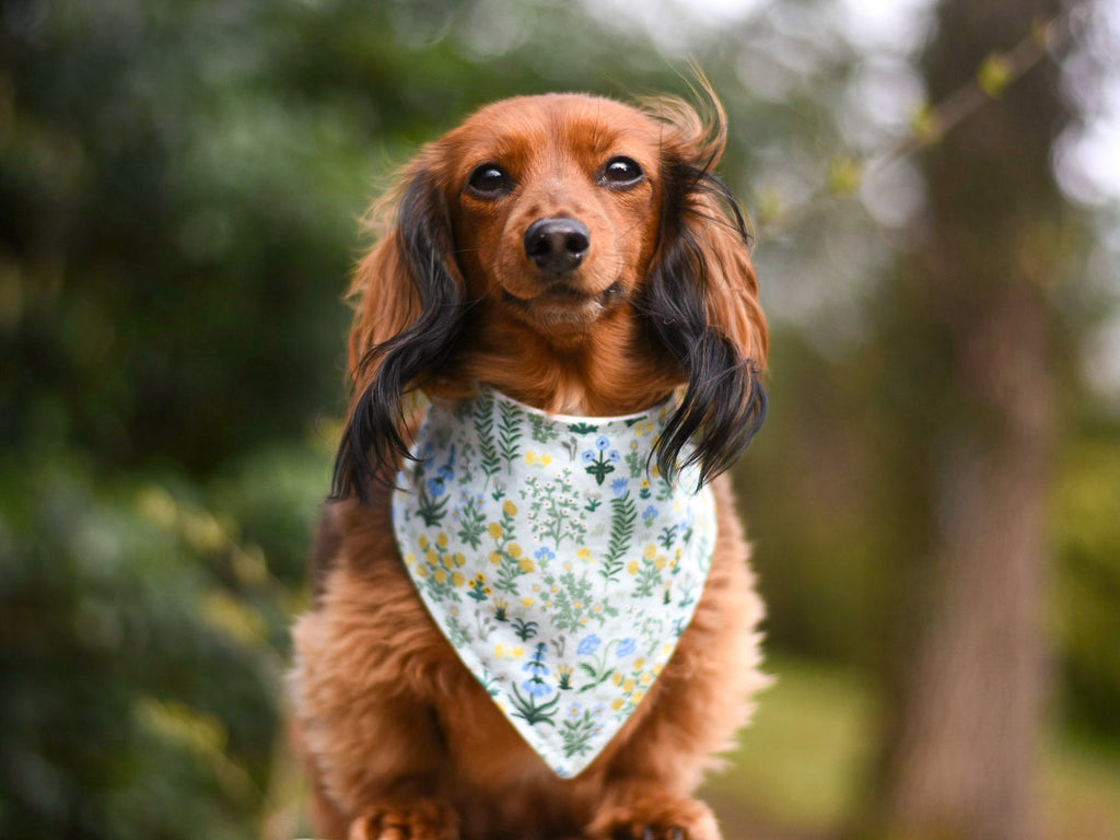 "Blue/Grey Tartan Plaid FLANNEL" Dog Bandana