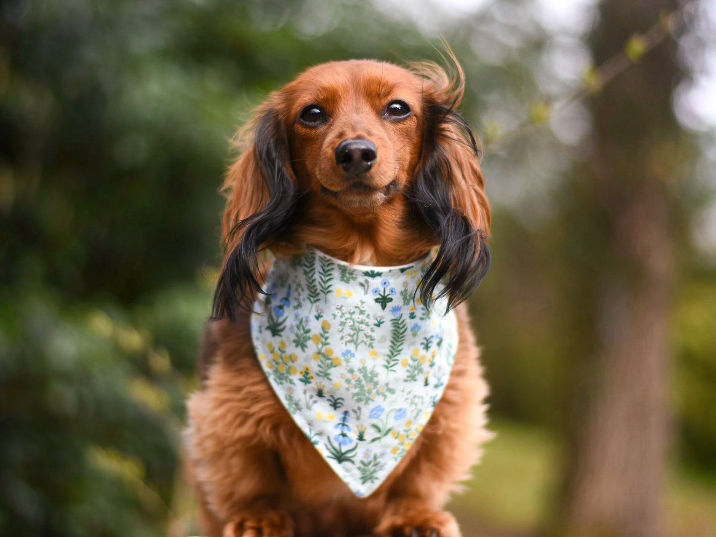 "Gingham Peaches" Dog Bandana
