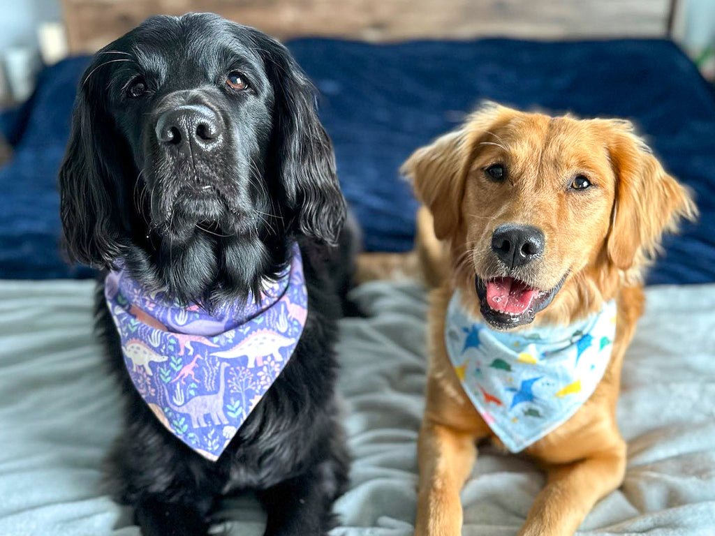 "Gingham Peaches" Dog Bandana