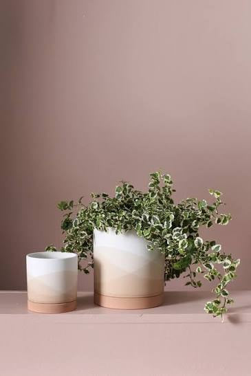 Vesper Pot