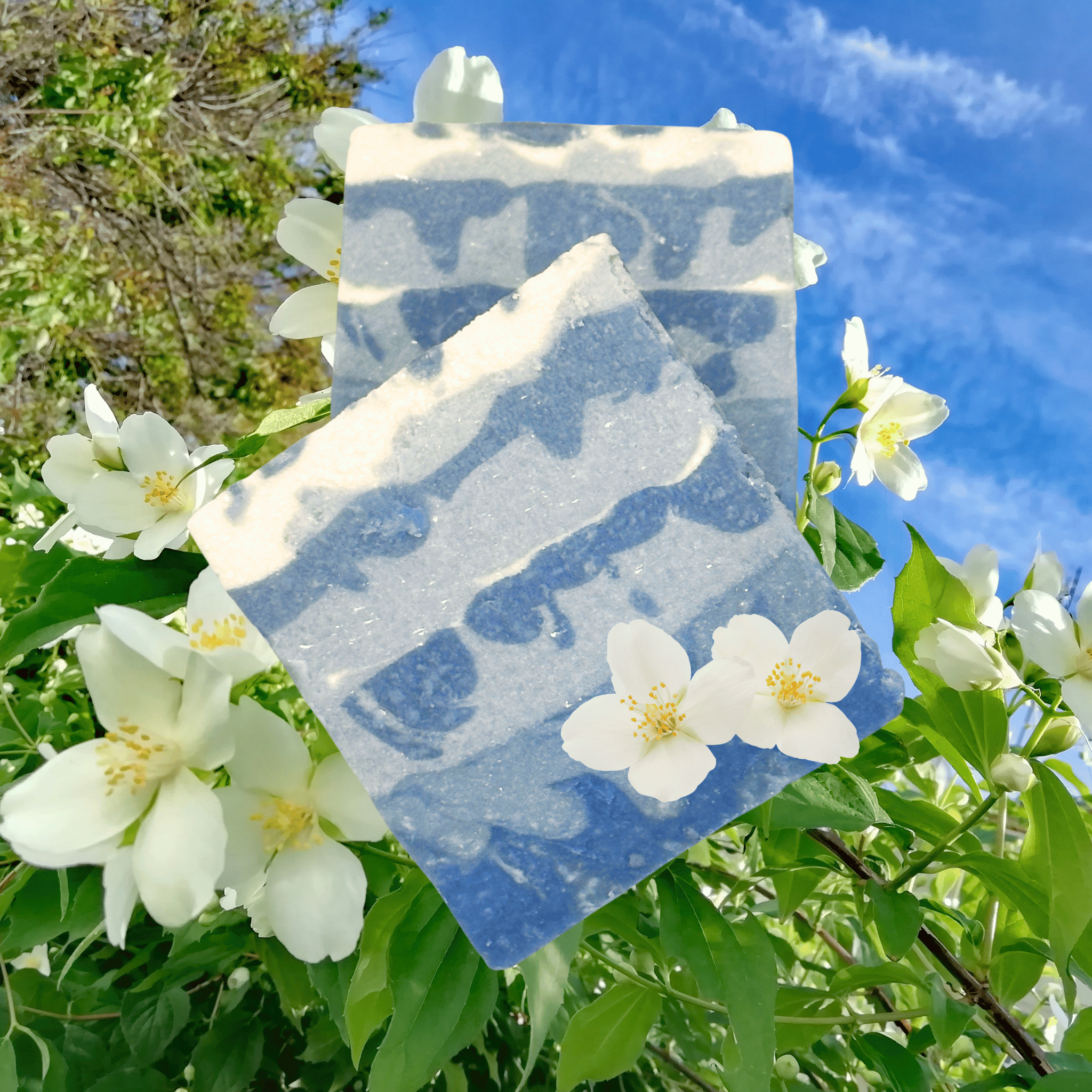 Midnight Jasmine Handmade Natural Bar Soap Hydrating Coconut & Olive Oil Soap