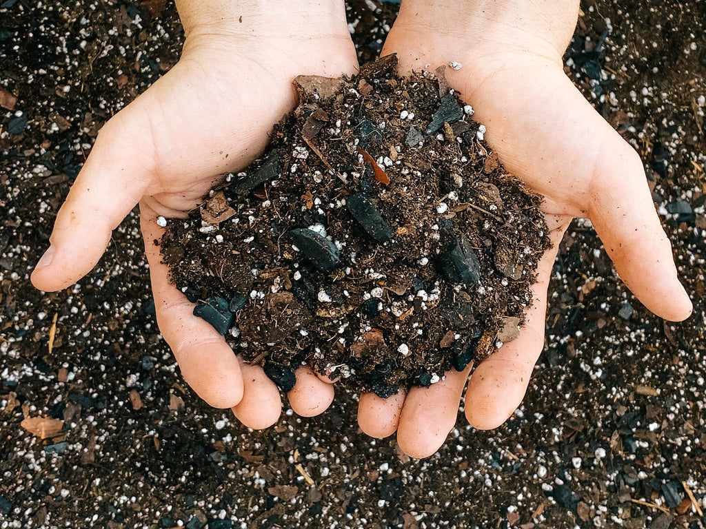 Dirt Bag: 1 Gallon